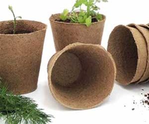 Lebomló virágcserép a Spar üzleteiben