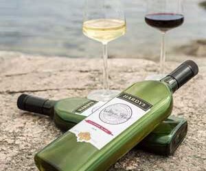 Laposüveggel a környezet védelméért